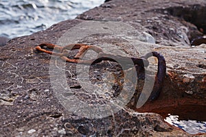 Old destructed rusty chain fixed in a piece of concrete