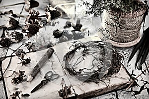 Old diary book with dried seeds, pencil and roots on table