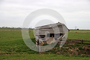 Old dilapidated wooden barn as shelter for sheep in the Eendragtspolder