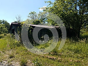 old dilapidated wooden barn structure with tall grass