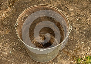 Old, dirty aluminum, iron bucket with a dirty inside