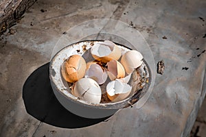 Old dirty bowl with eggshells photo