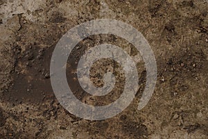 Old and dirty cement wall texture background