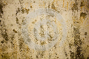 A Old dirty gray white concrete wall with cracks and stains of paint and mold with moss. rough surface texture