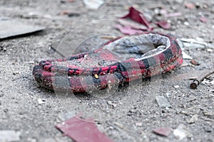 Old, dirty red and black slipper, discarded