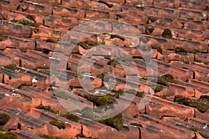 Old and dirty red roof tiles covered with moss and lichen, dirty roof tiles with dense moss before cleaning