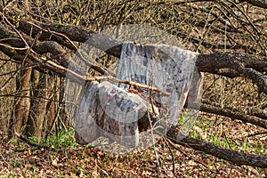 An old dirty and rotten mattress hangs on the branches of a tree. Pollution of the environment with household waste