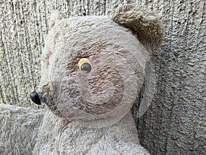 old and dirty soft toy bear on the background of a concrete wall