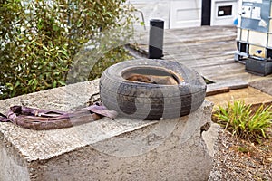 An Old Discarded Flat Tyre