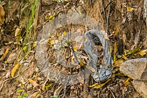 Old discarded sports shoe on the ground