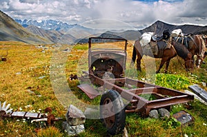 Old dismantling car and horses