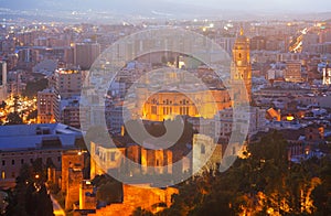 Old districts in Malaga with Cathedral in night