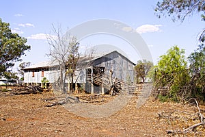 Old disused shearing shed at Wyandra