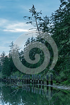 Old Dock On Chehalis River