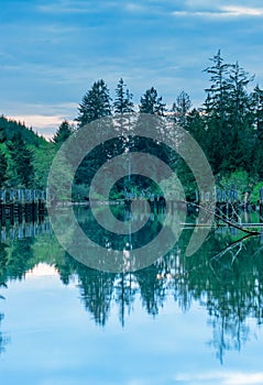 Old Dock On Chehalis River