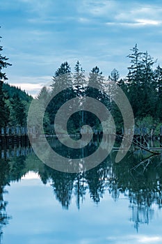 Old Dock On Chehalis River