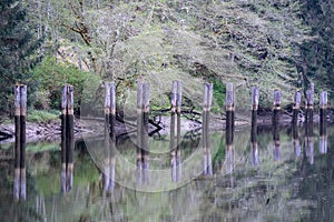 Old Dock On Chehalis River