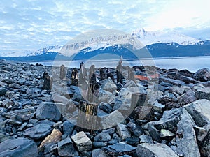 Old dock pilings in Alaska