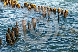 Old dock pilings in the Bodensee Lake in Germany