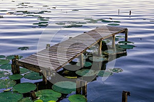 Old dock, Reelfoot Lake, Tennessee