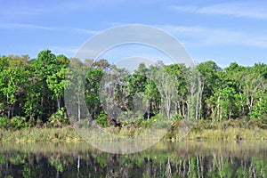 Old Dock At Salt Springs Run