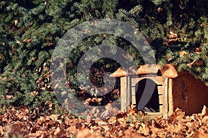 Old dog house surrounded by yellow leaves in the forest