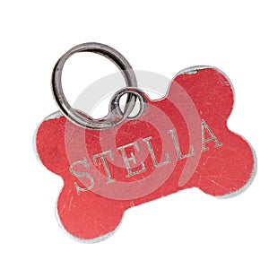 Old dog name tag in shape of bone, red, with name Stella. Memento to remember deceased pet, isolated on white