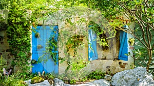 Old door, gate and garden window covered by overgrown green climbing ivy, rural nature green foliage photography. Vintage tone,