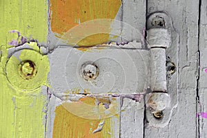 Old door hinge with tropical colors