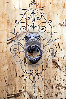 Old door knocker shaped like a lion