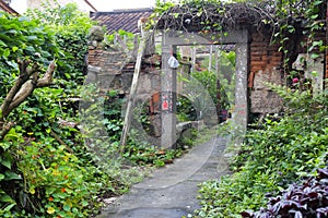 Old door with overgrown creepers