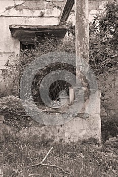 Old door and porch with overgrown plants