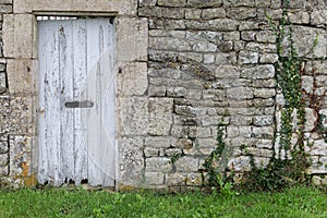 Old door and vines growing on wall