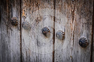 Old doors close up view