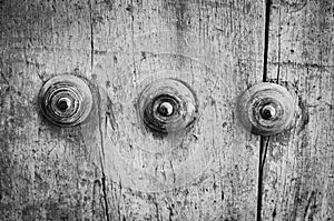 Old doors close up view