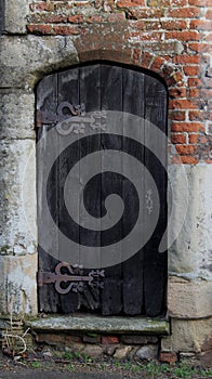 Old doorway detail, decorative hinges