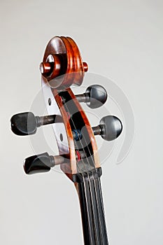 Old double bass head with strings isolated on white background