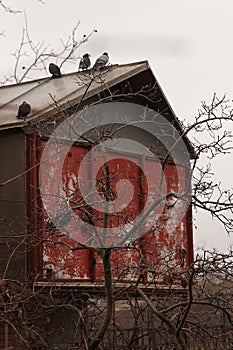 Old dovecote in autumn cloudy garden, rural building