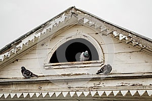 Old dovecote on the roof of house