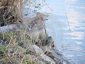 An old drain pipe at the shore of a river