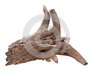 Old Driftwood Isolated on White