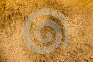 Old drumhead background.