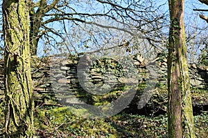 Old dry stone wall