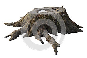 Old tree stump with moss isolated on white photo