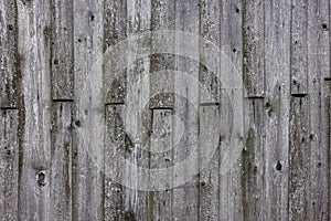 old dry weathered gray wooden planks board surface - full frame background and texture