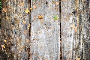 old dry wooden plank texture
