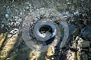 Old tire in the river
