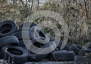 Old dumped tires