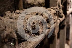 Old dusty bottles of red rioja wine in cellars, wine making in La Rioja region, Spain