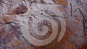 Old dusty floor in carpenters workshop